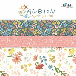 Albion 10" square pack