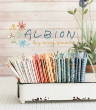Albion 10" square pack