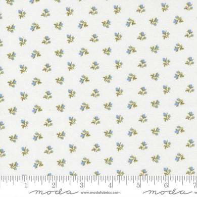 Sweet Liberty 18753 11